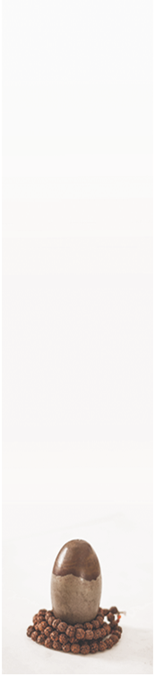 backgroundmenu